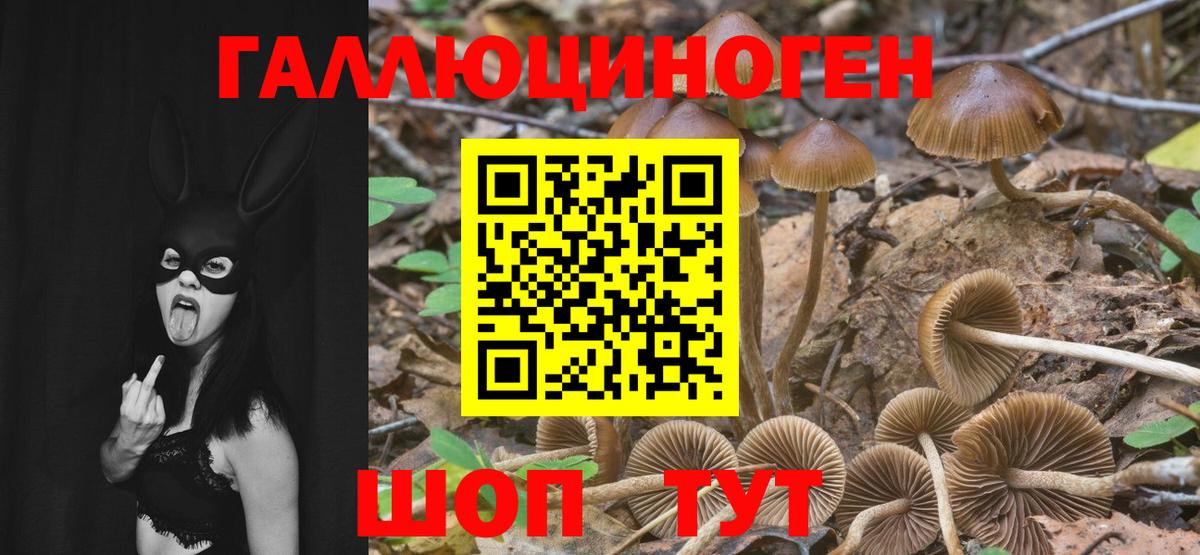 Белогорск  Псилоцибиновые грибы Magic Shrooms  Галлюциногенные грибы Psilocybe  Вход с VPN 