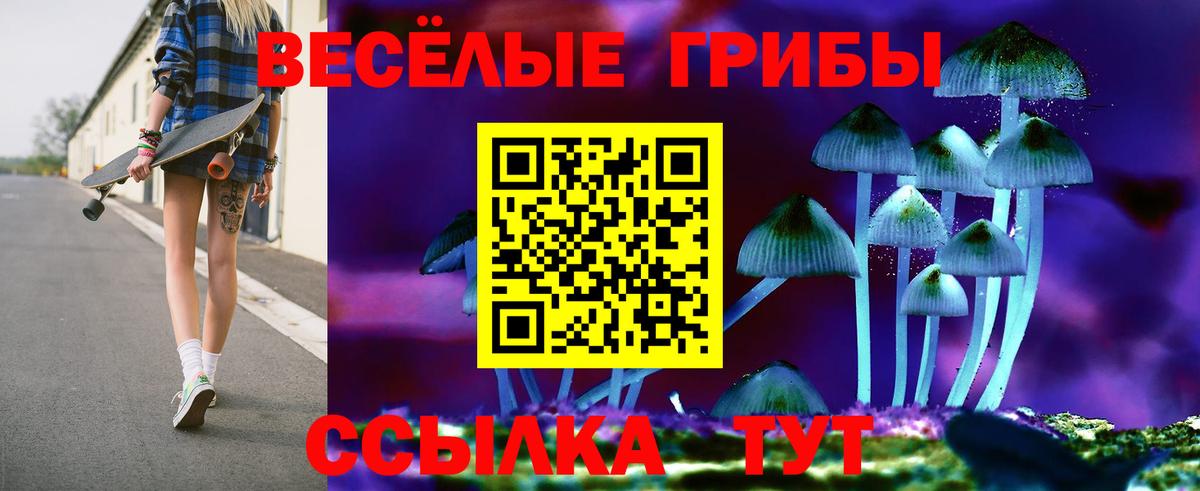 Галлюциногенные грибы Psilocybine cubensis Белогорск